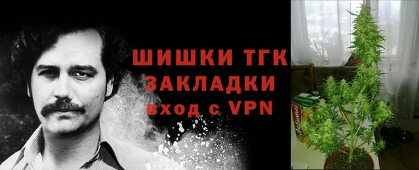 кокс Ладушкин