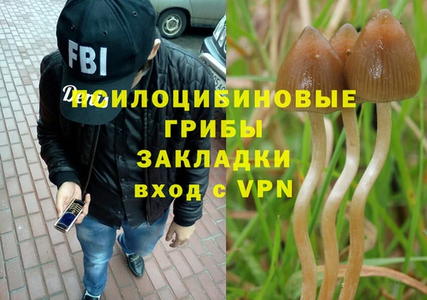 соль ск Лихославль