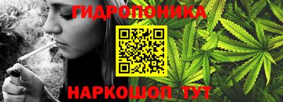 МДПВ Волжск