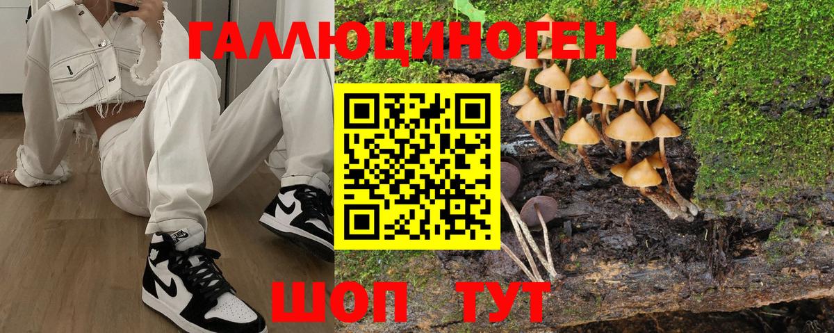 Галлюциногенные грибы Magic Shrooms  Вход с VPN  Галлюциногенные грибы Psilocybe  дарнет шоп  Ипатово 