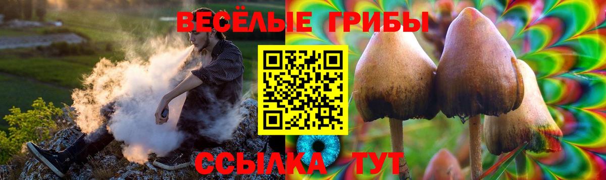 Галлюциногенные грибы мицелий  Ипатово  Псилоцибиновые грибы ЛСД 